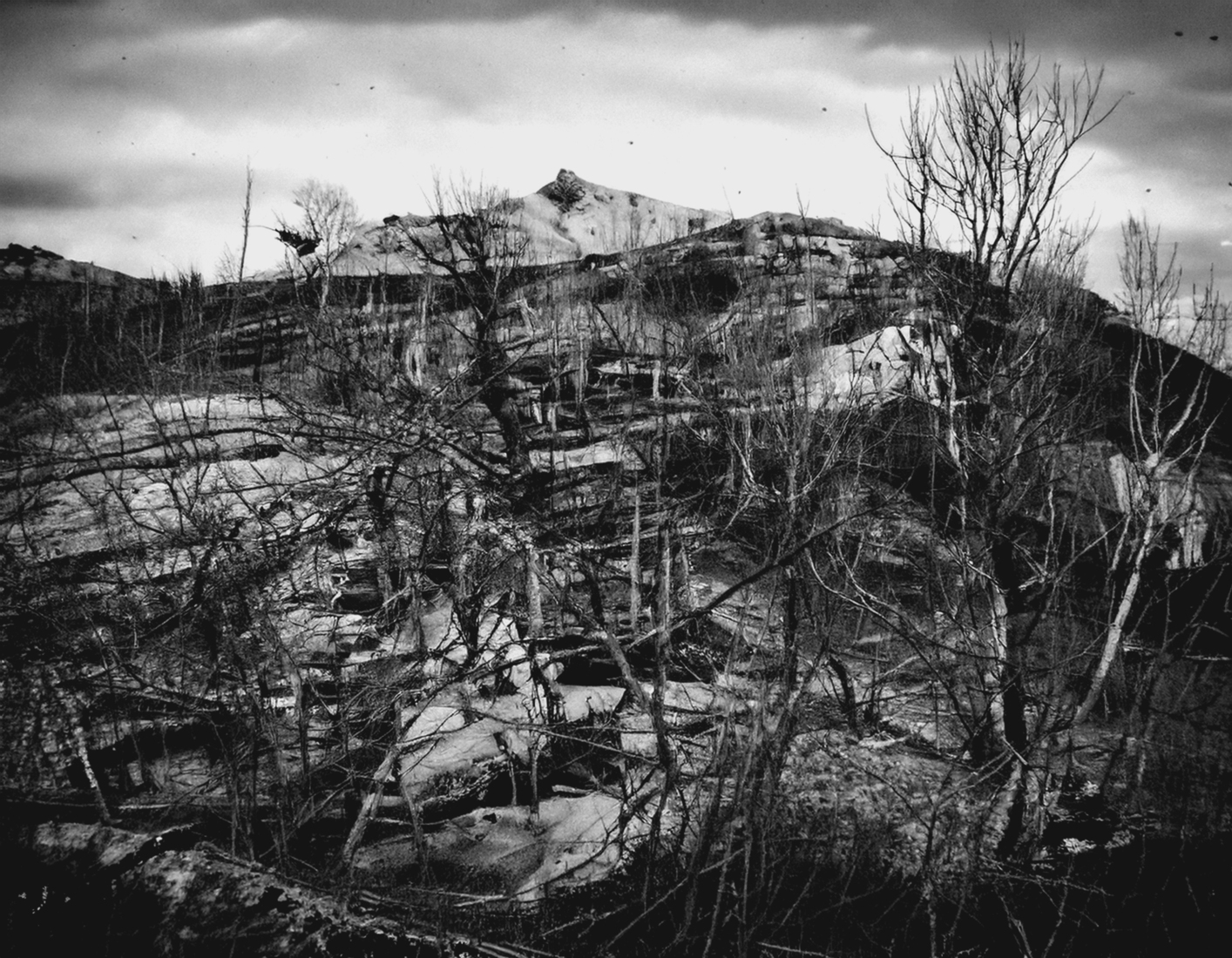 Landschap MYOB43H 