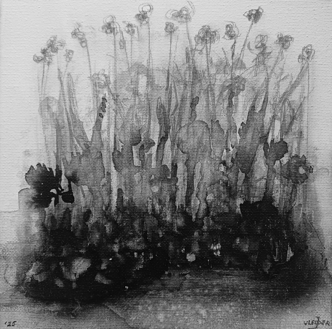 B-Bloemen