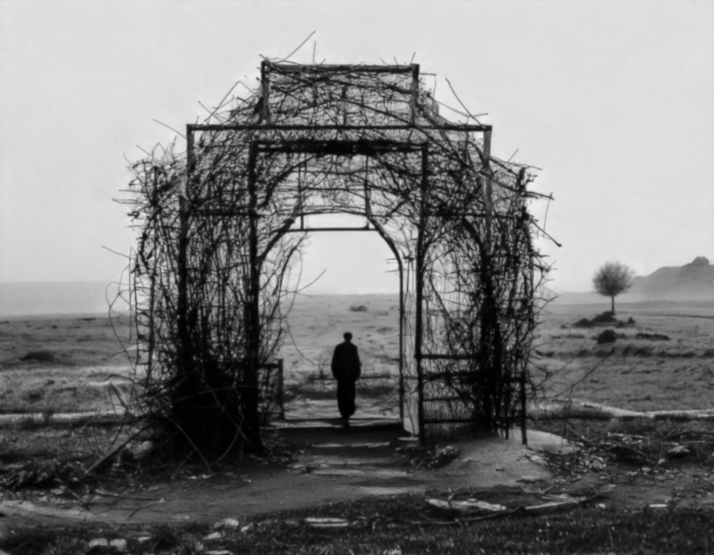 'The Entrance too.....?!'