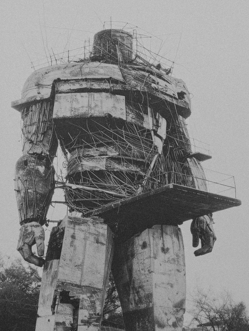 Building Male X