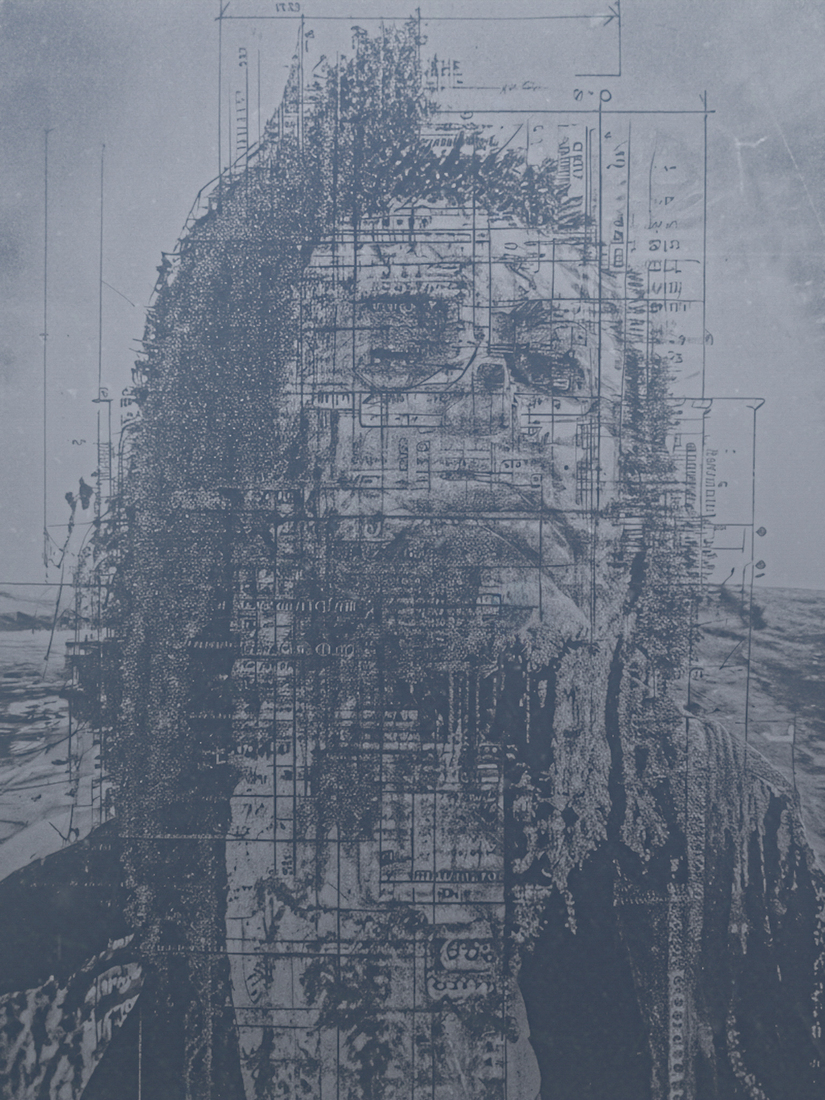 Portrait Fluctuations 