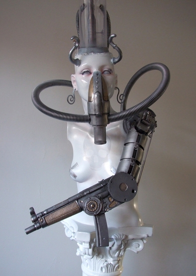 Venus de Biomechanica