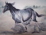 Het weergeven van beweging, de kracht en de mooi anatomie van paarden is steeds een uitdaging.