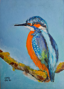 Verschillende vogels ben ik gaan schilderen in mijn nieuwe atelier op Texel.
Atelier Noorderhuus