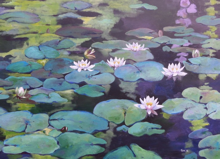 waterlelies