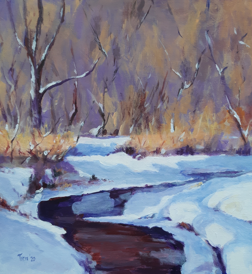 winter aan de Dinkel