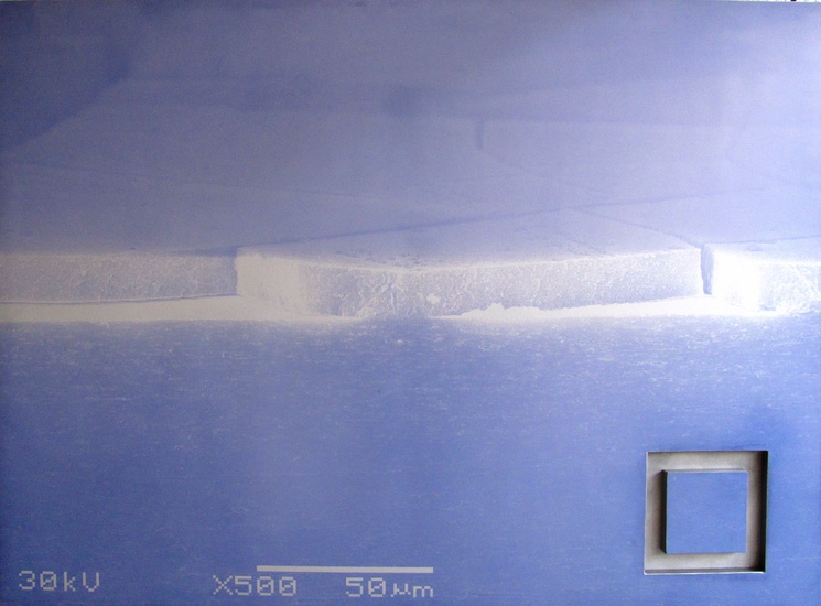 Pico-dream-landscape