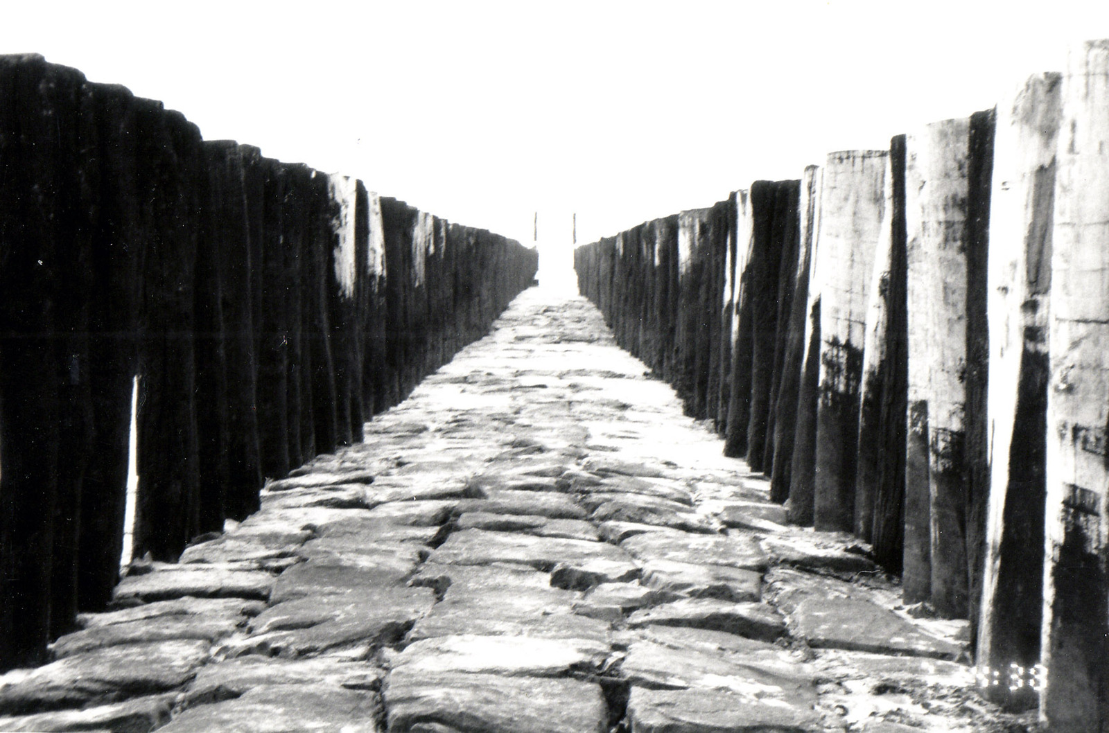 zwart wit foto zeeland 