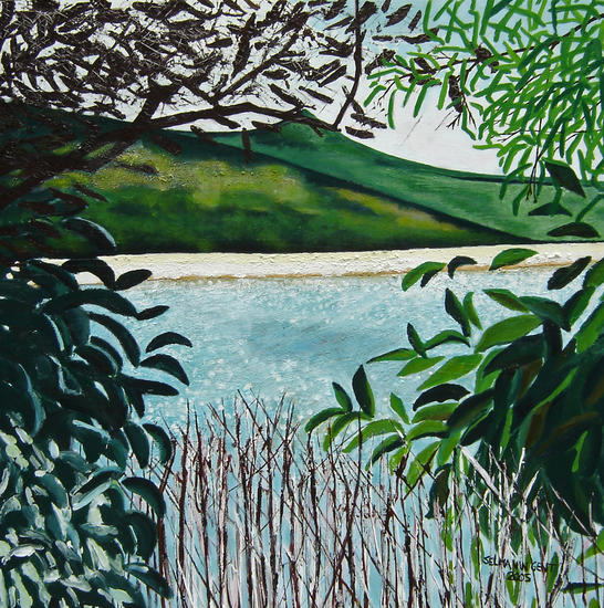 Cape tribulation (Australie)