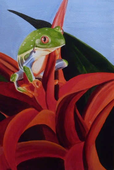 Rode bloem met kikker