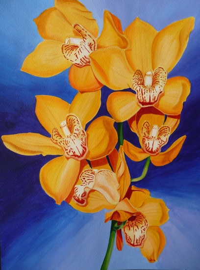 Oranje Cymbidium