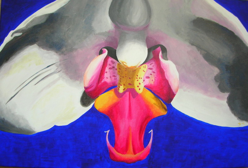 Witte Orchidee