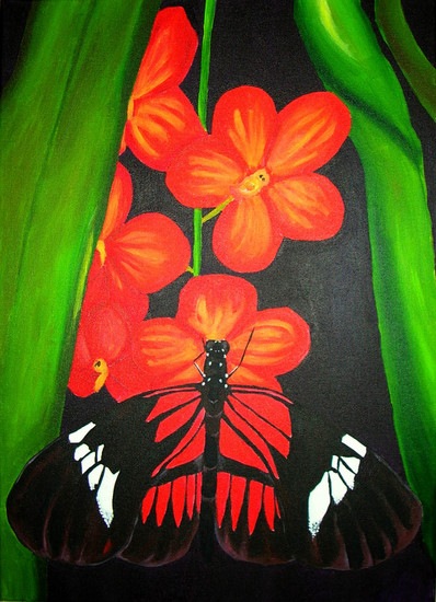 Passiebloemvlinder met vanda