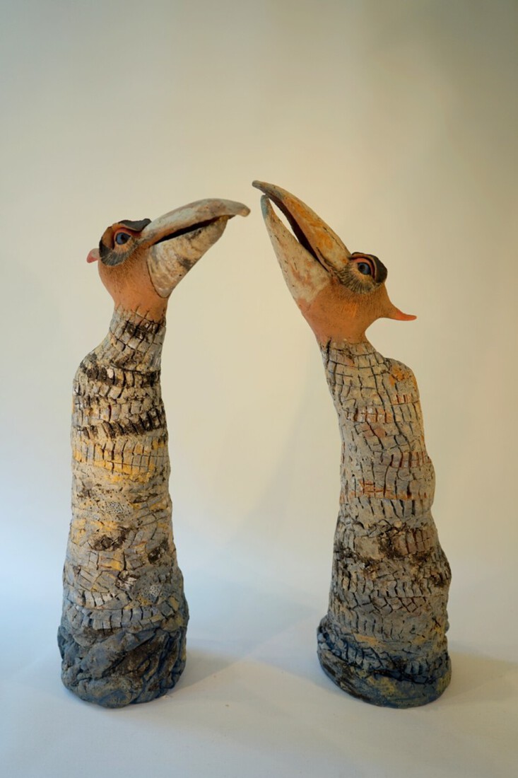 Birds
