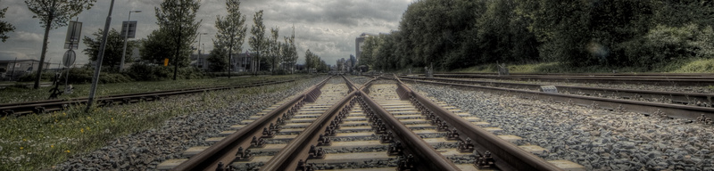 Licht, Kleur en Contrast