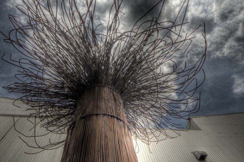 Licht, Kleur en Contrast