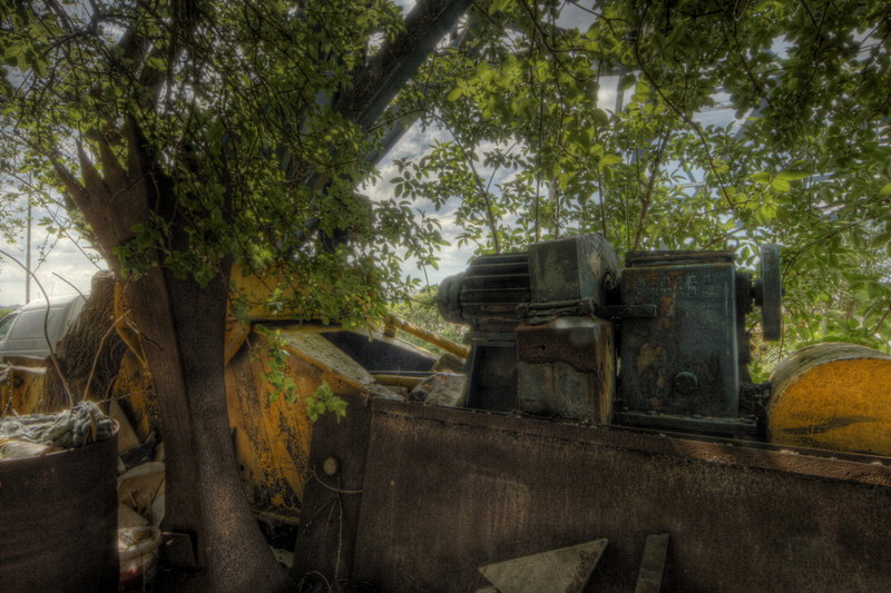 Licht, Kleur en Contrast