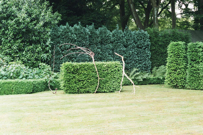 Three walking tree-branches