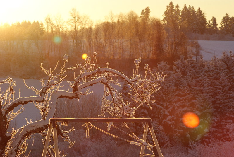 Light the way through the day