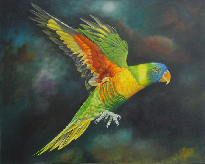 Vliegende Papegaai
