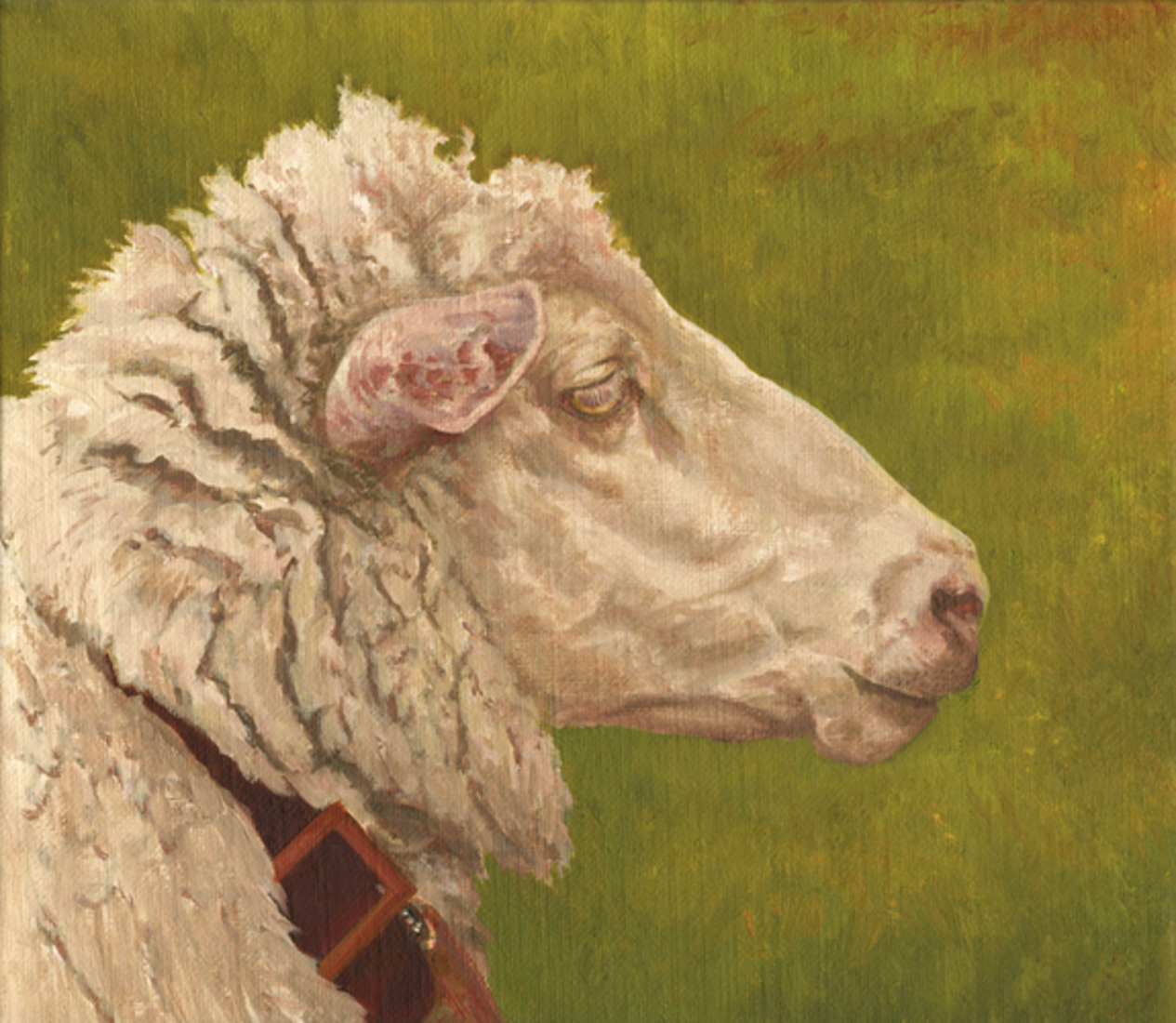portret van een schaap #209