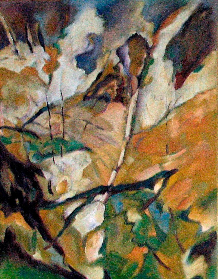 El Camino de Santiago 1 