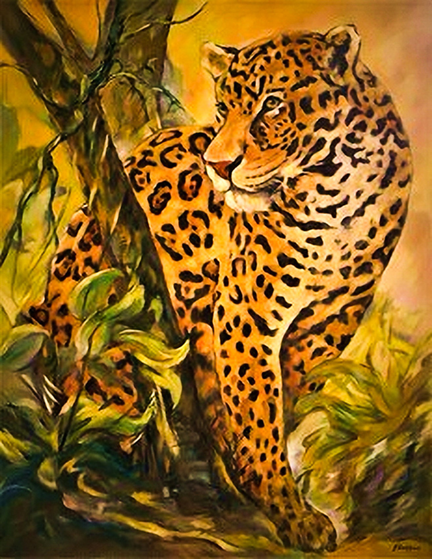 Jaguar (Panthera onca)