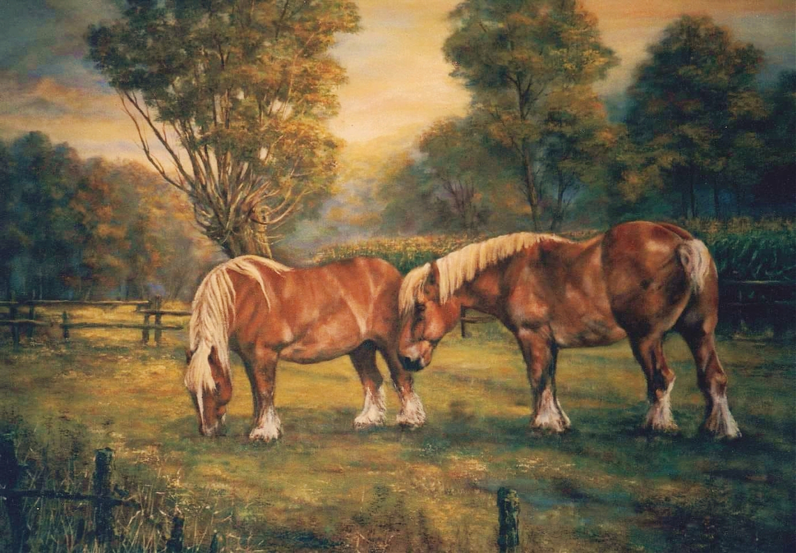 Brabanders in Steenhuffel  