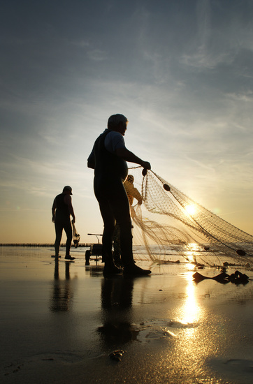 Vissen aan de kust 2