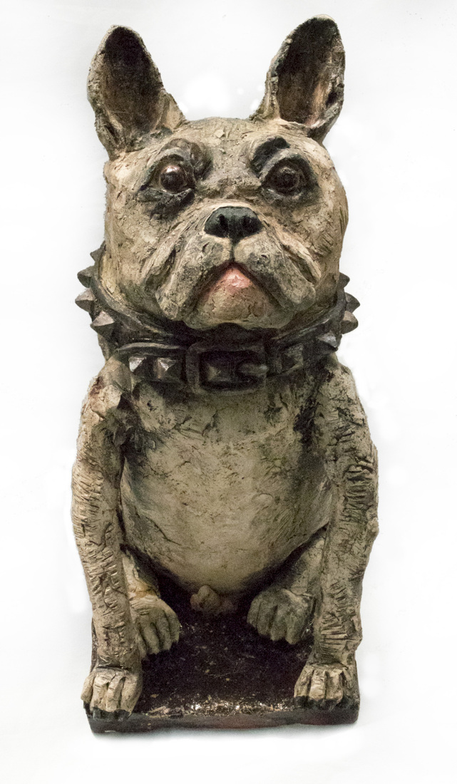 Franse Bulldog Spike