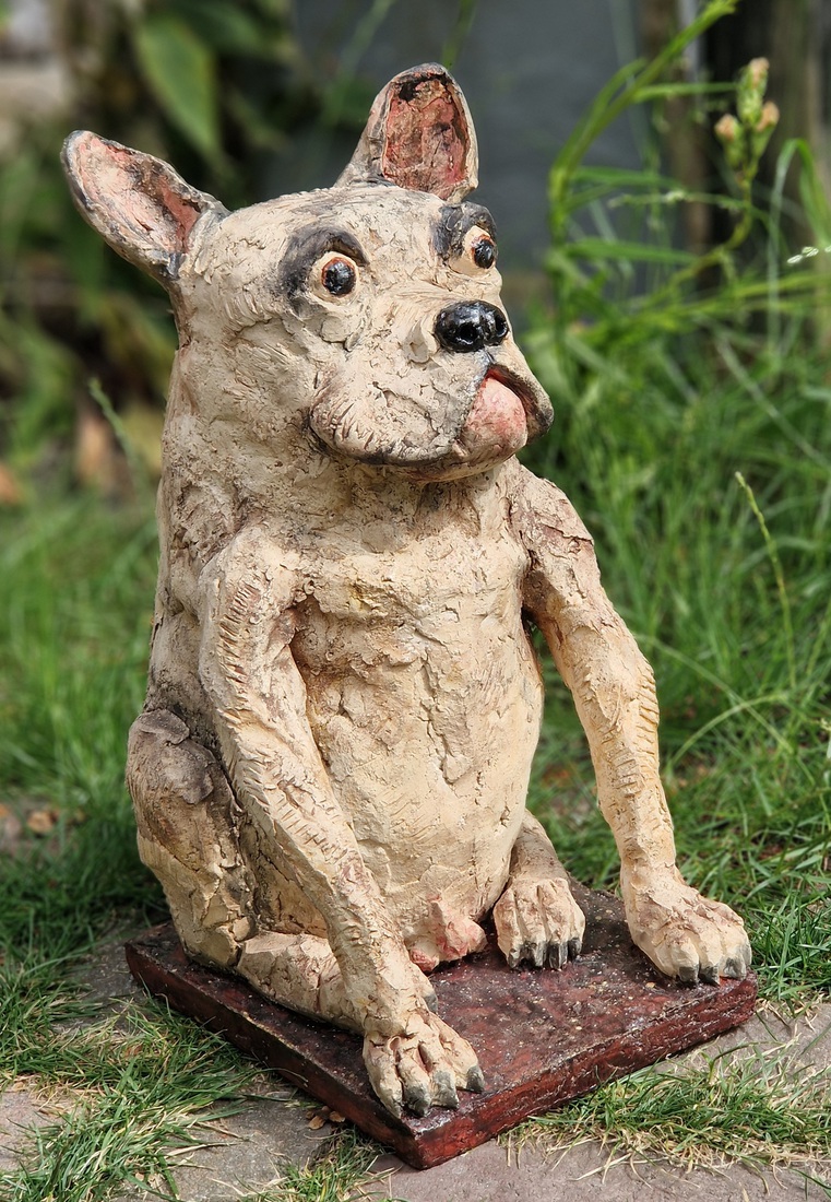 Franse Bulldog Rufus