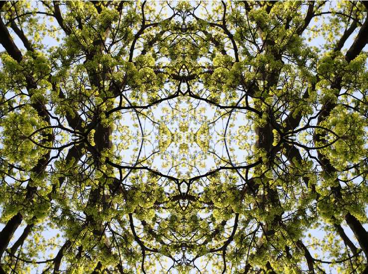 Praagse Lente: green