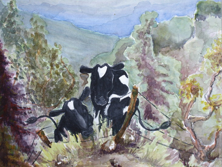 cows near the path
