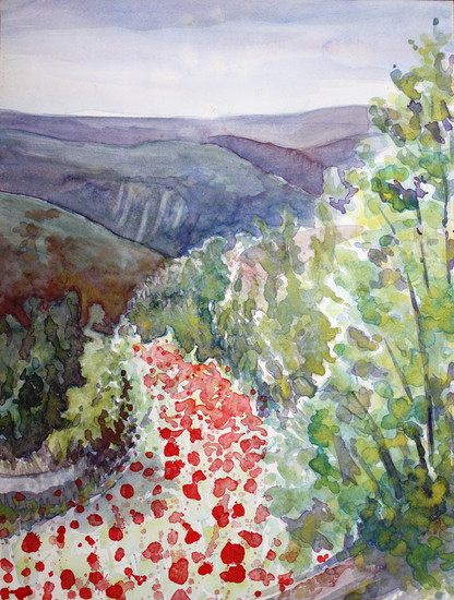 Gorges and poppies