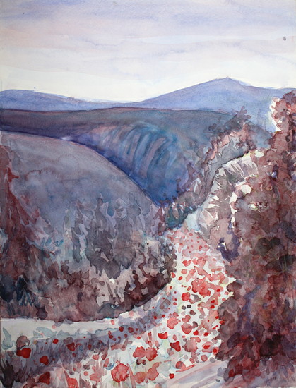 Gorges and poppies, purple