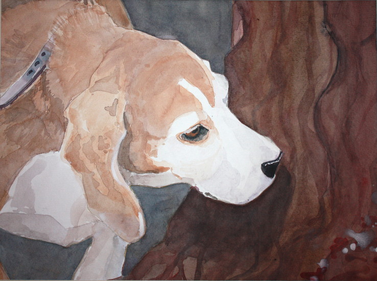 beagle, Nanda