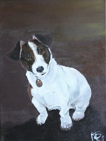 jack russell terrier, Tim