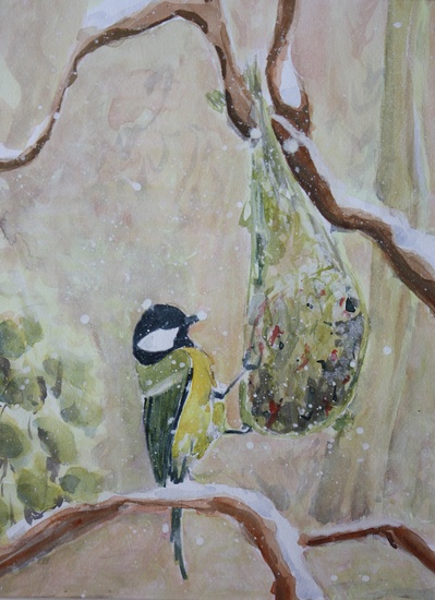 great tit at birdfood