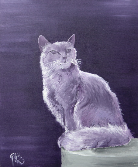 purple cat
