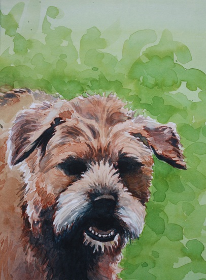border terrier, Bink