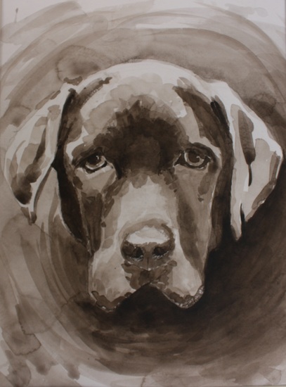 Labrador, Teun in sepia