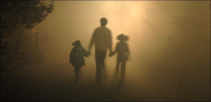 Foggy evening