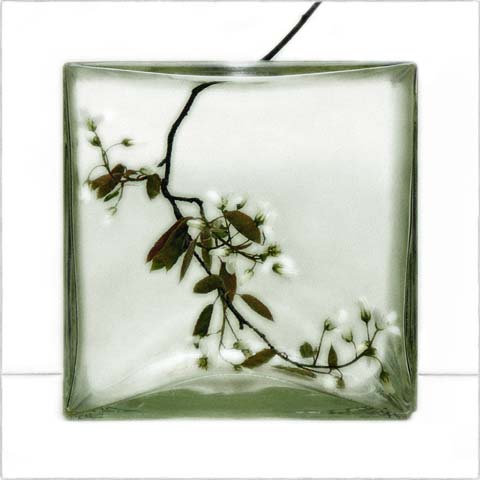 Mo(nu)ments of Rest # 07