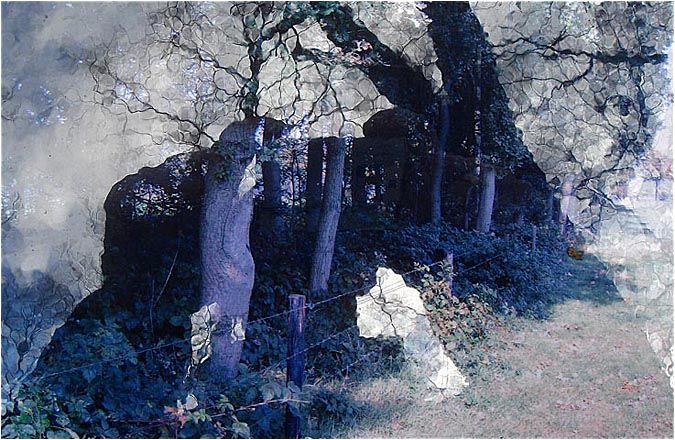 Tree-reflection
