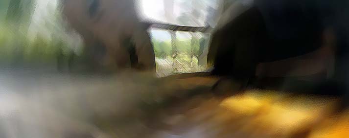 Window