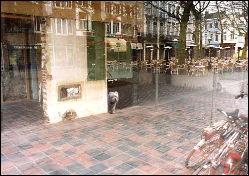 Schouw
