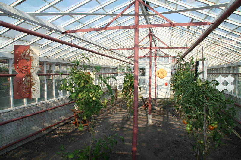 Greenhouse with tomatoes 3