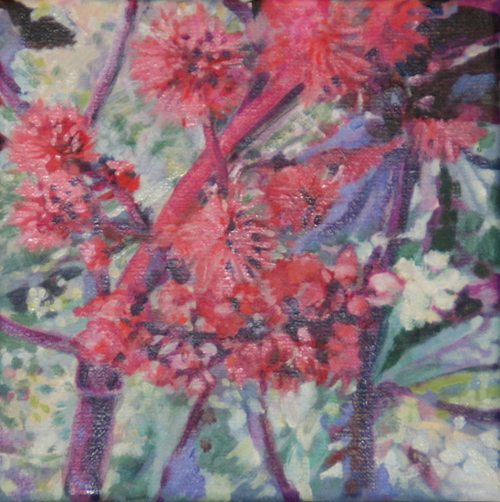 Ricinus Communis (2)