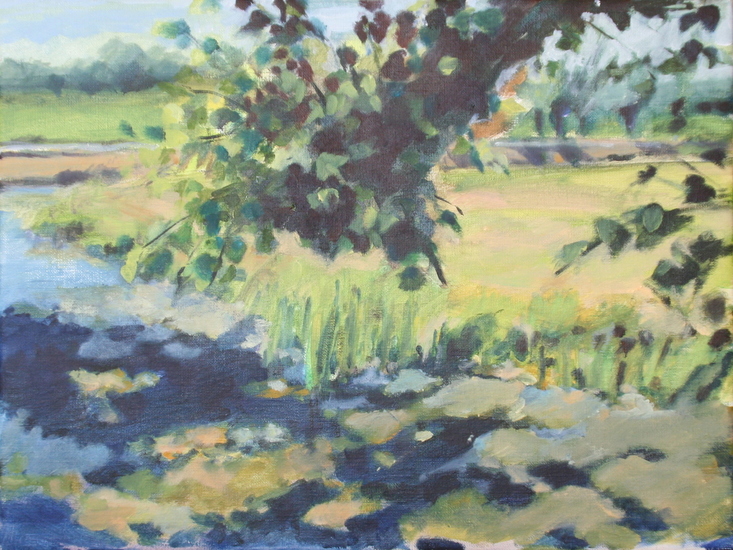 zomer in Kamerik (1)