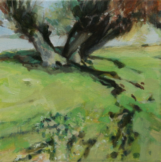 Twiske - Stooterplas 1